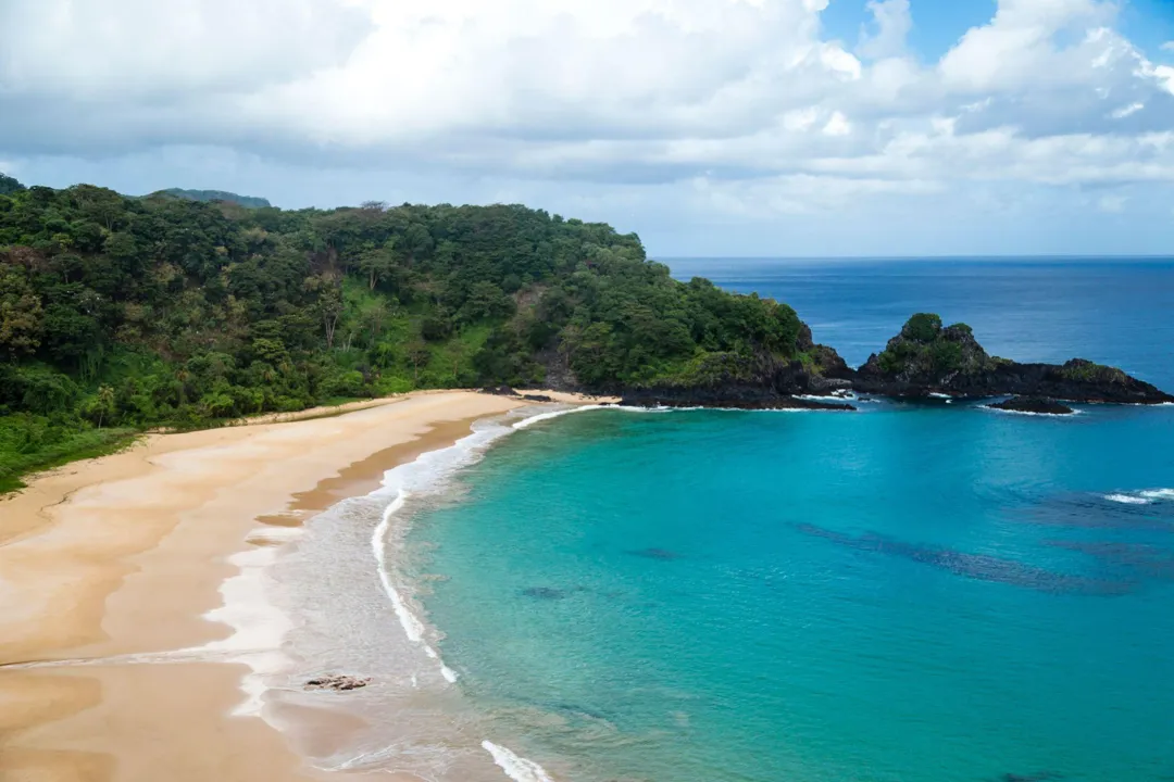 A sandy beach curving below a forested headland on the Atlantic