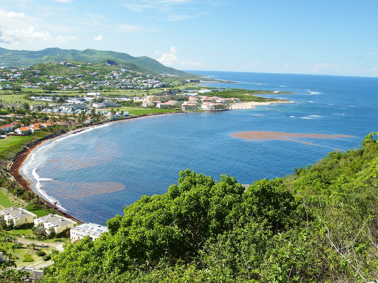 saint kitts citizenship