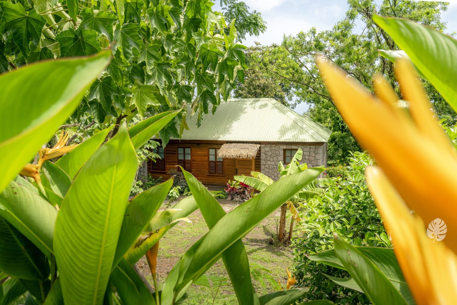 Jungle Bay Eco Villas