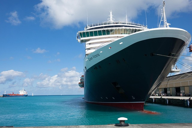 CARICOM Cruise Ship