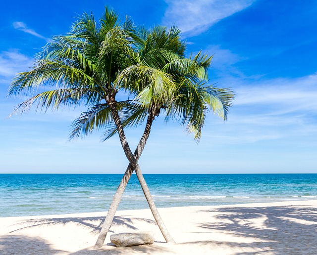CARICOM Citizenship - Caribbean Sea