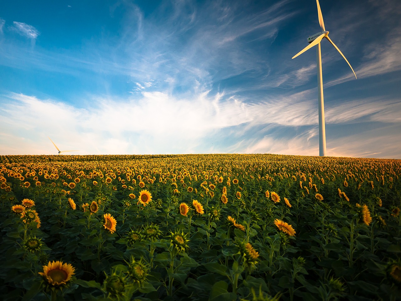 Renewable Energy Funds