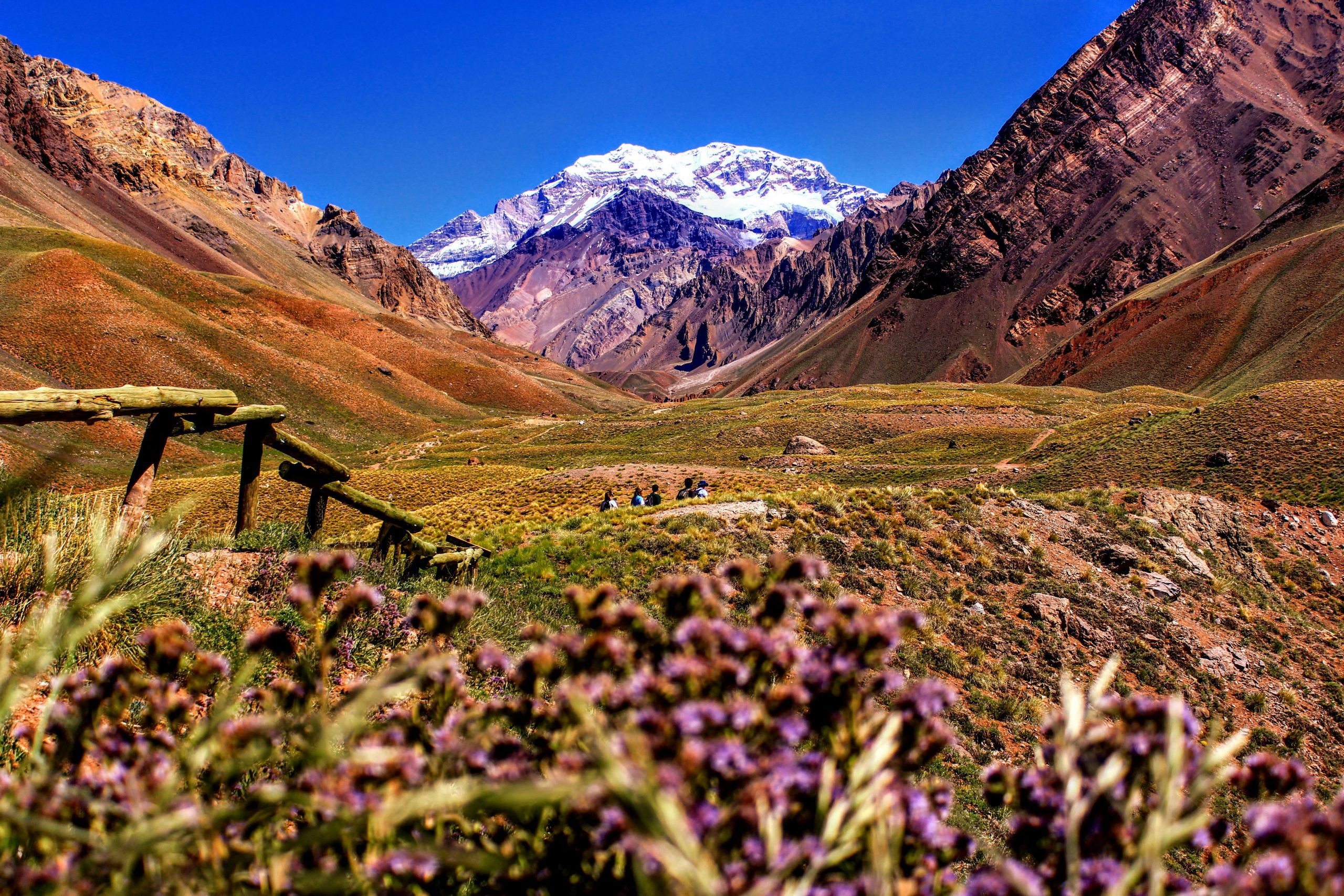argentina digital nomad visa