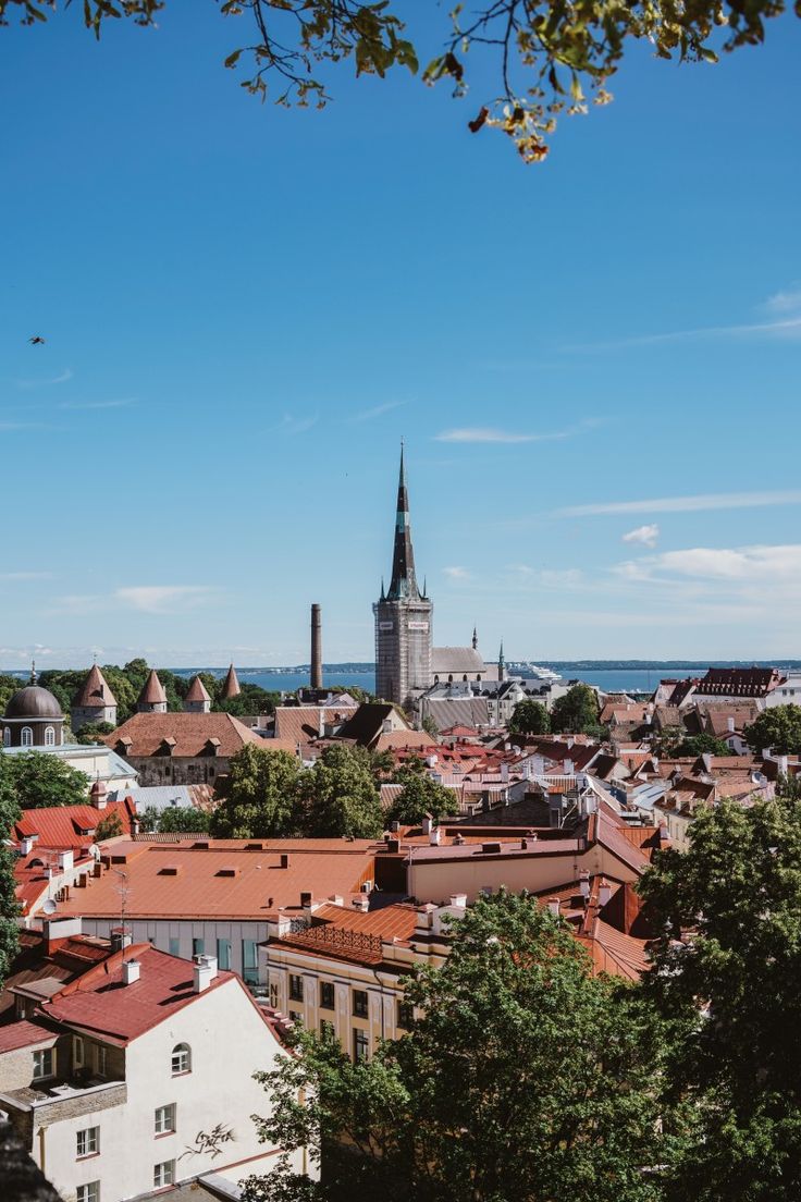 estonia digital nomad visa