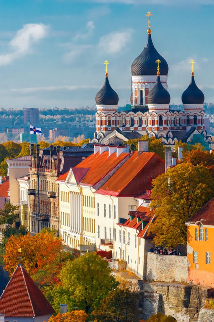 estonia residency