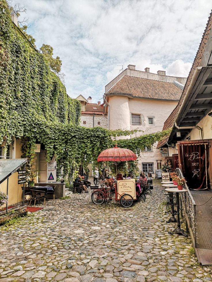 estonia digital nomad visa