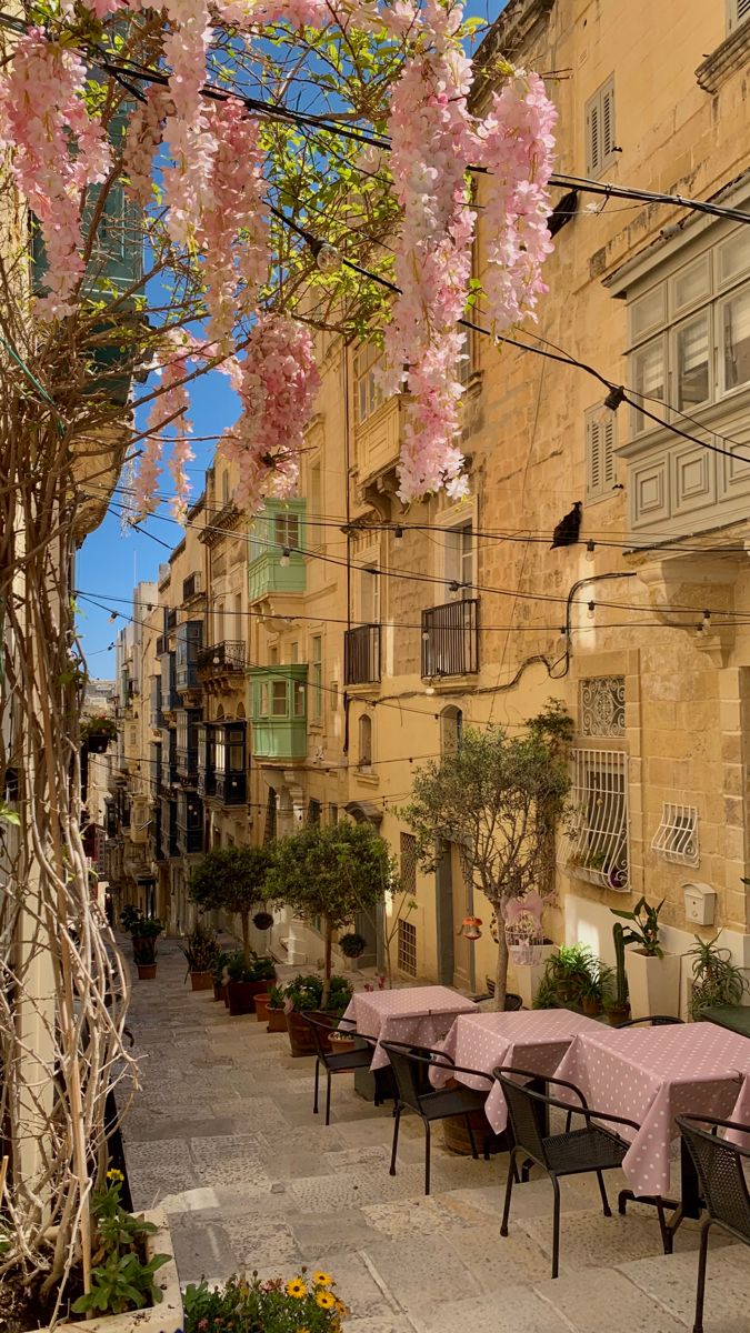 malta retirement visa