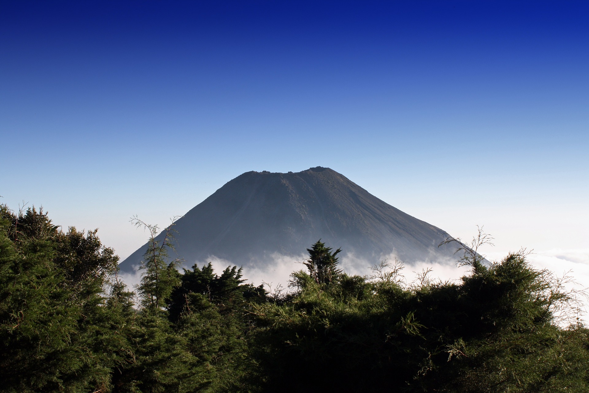 El Salvador Digital Nomad Visa