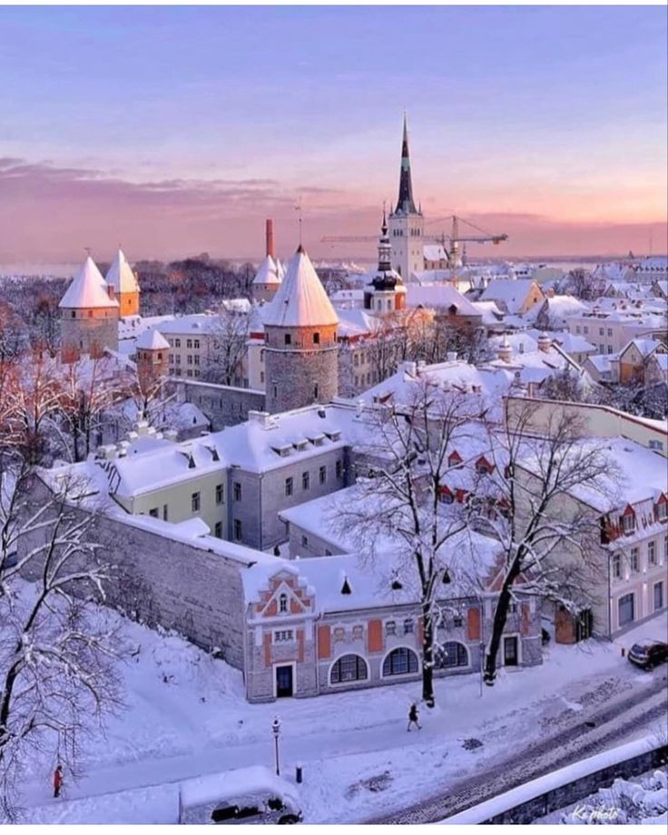 estonia temporary residency