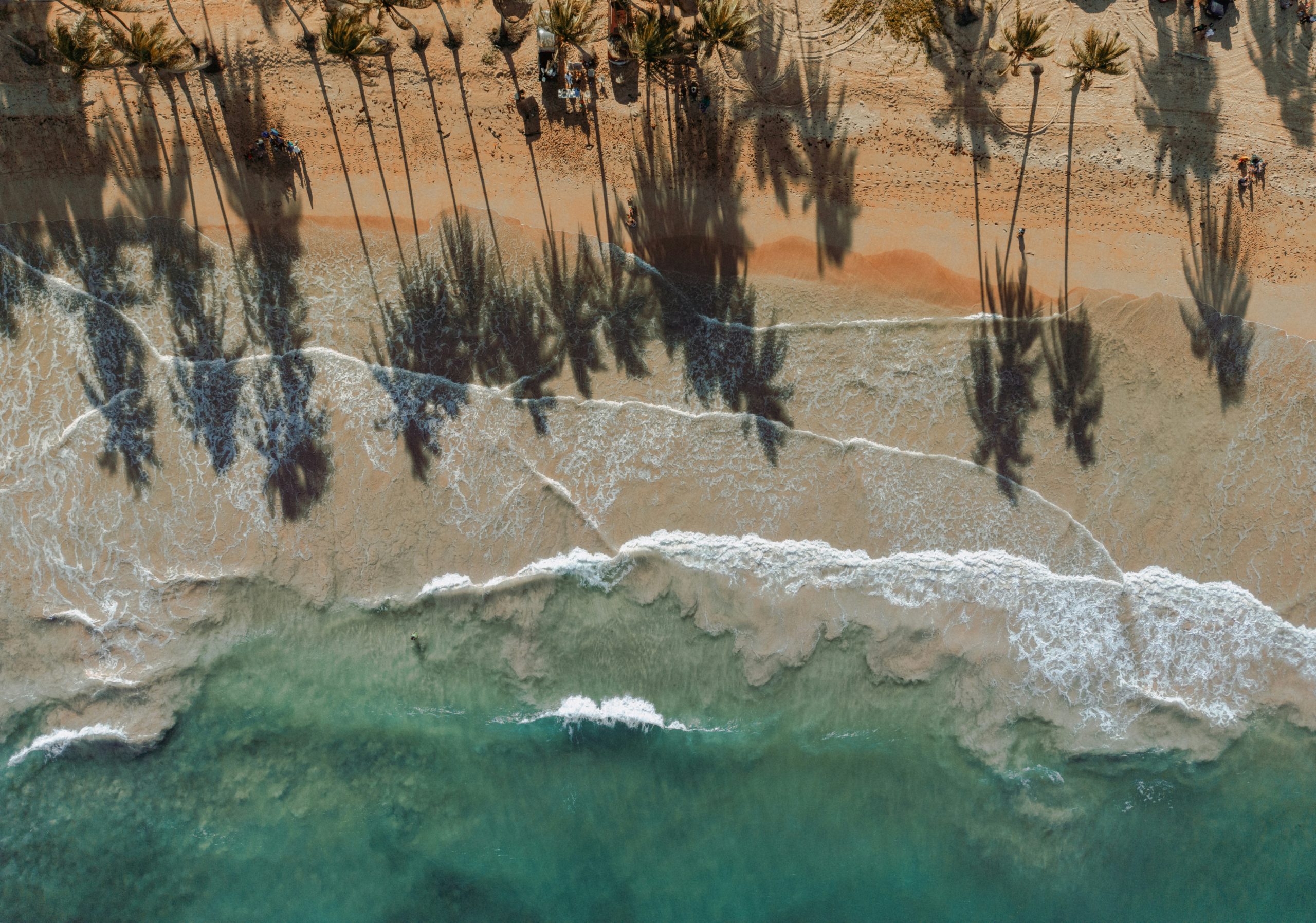 dominican republic citizenship by investment