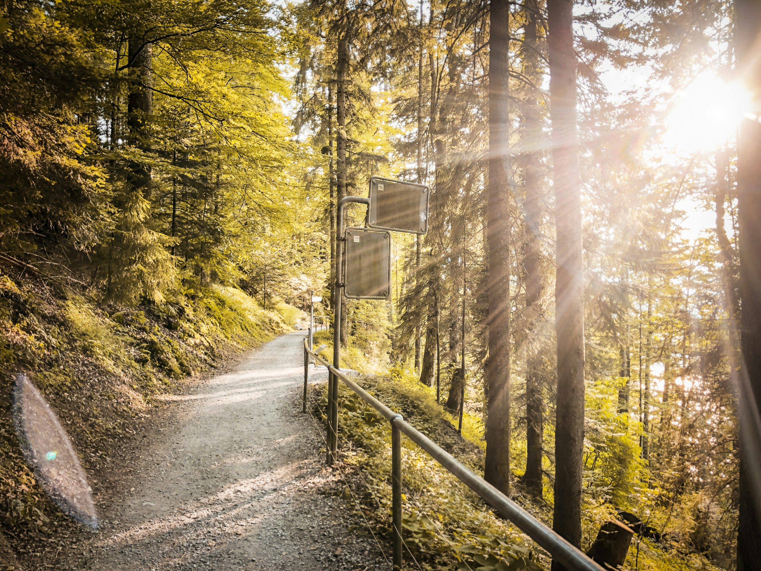 switzerland golden visa