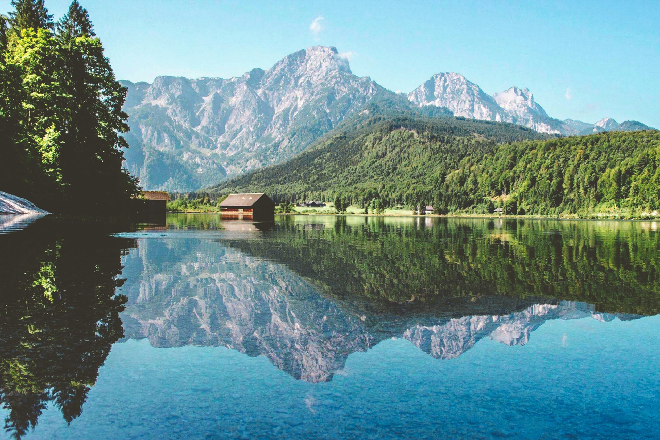 austrian citizenship investment